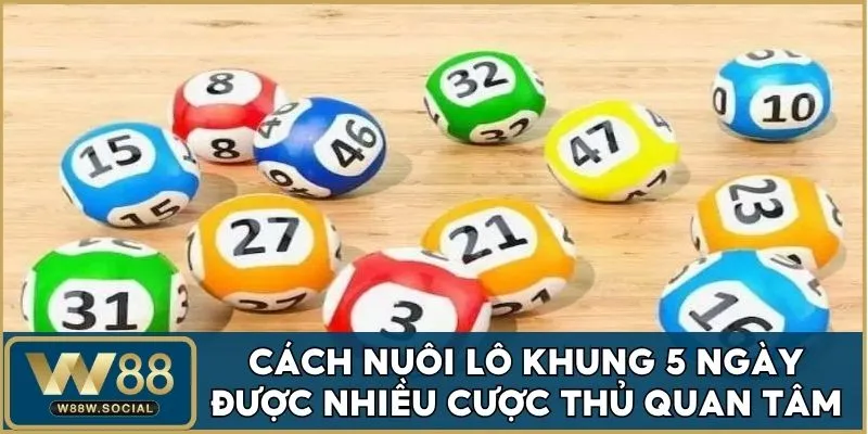Cách Nuôi Lô Khung 5 Ngày Đơn Giản, Cực Dễ Trúng Tại W88 2 Hướng dẫn cách nuôi lô khung 5 ngày từ chuyên gia